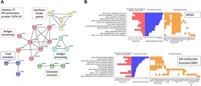 Revealing the genetic complexity of hypothyroidism: integrating complementary association methods